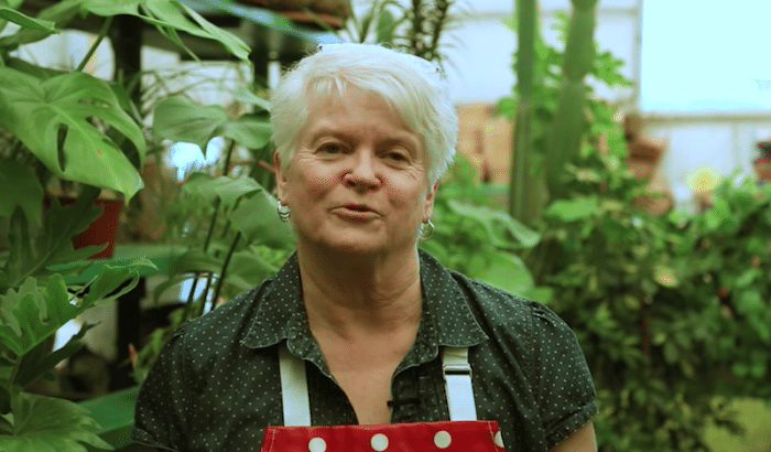 Christian florist who refused to work gay wedding loses again in Washington court