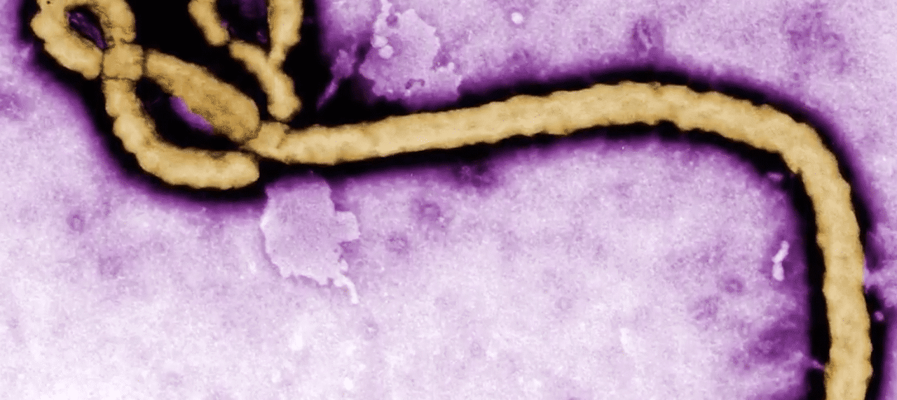 Ebola outbreak in Congo declared a global health emergency