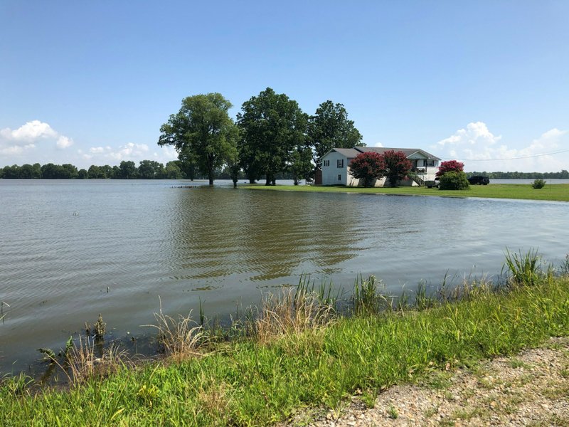 175,000 acres of farmland in Tennessee flooded – Cotton and soybean crops ruined