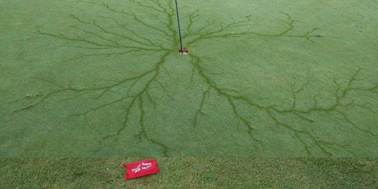 North Carolina golf club congratulates God — and lightning bolt — for ‘almighty hole in 1’