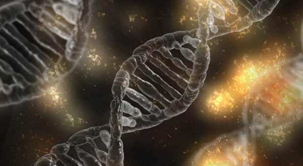 Geneticist Says Scientific Evidence Supports Biblical Creation