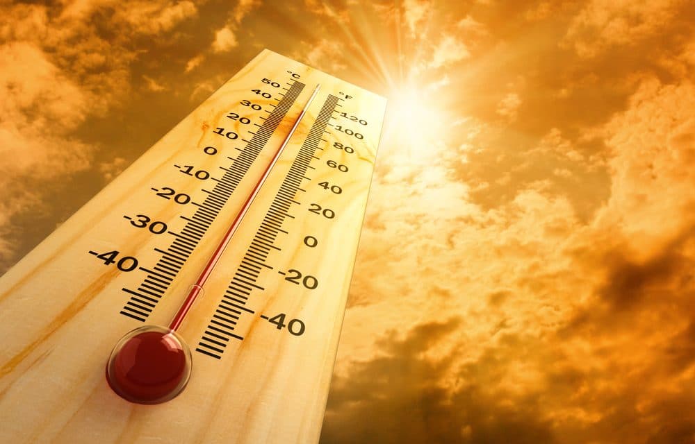 Alaska records its warmest month ever