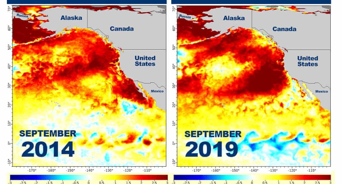 Temperatures In The Pacific Ocean Have Shot Up To Dangerous Levels, And Scientists Are Blaming A “Strange Anomaly”