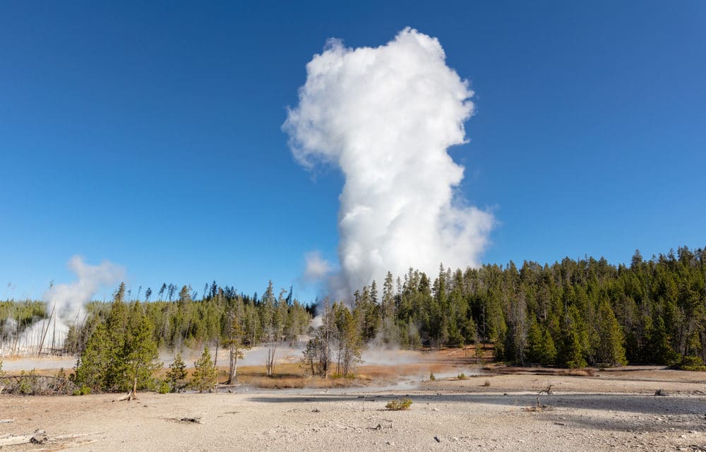 Steamboat Geyser at Yellowstone continues to break historical yearly eruption record