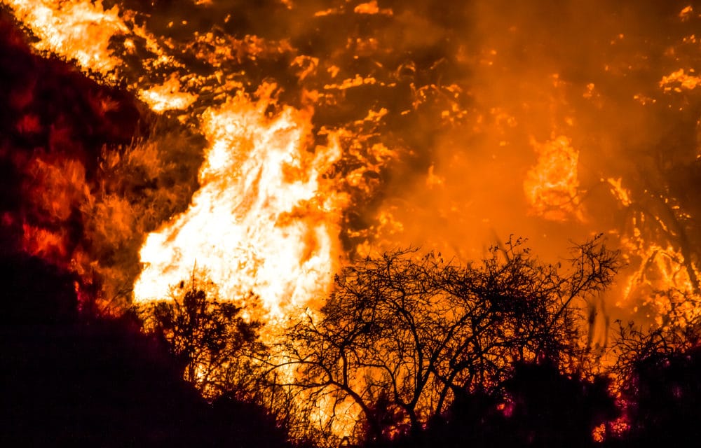 California declares statewide emergency, 200k evacuated, deploying “every resource available”