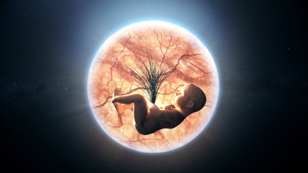 Researcher attacked over study showing 96% of biologists believe life begins at conception