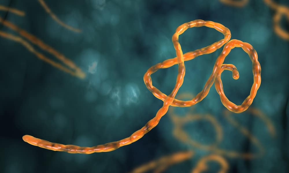 DEVELOPING: Ebola outbreak feared in Bahamas as nation put on ‘high alert’
