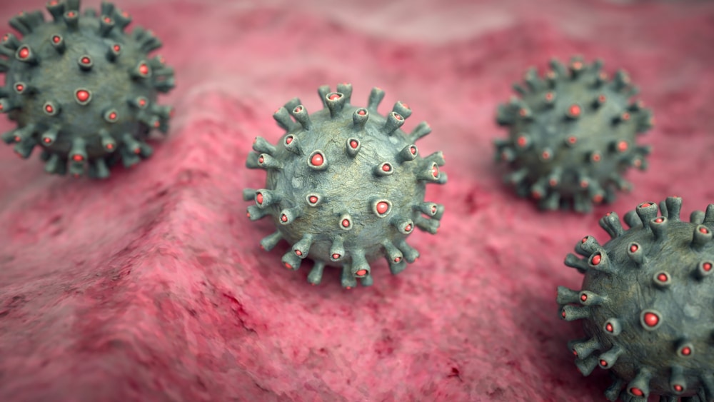 Monkey infects human with fatal herpes strain in first case