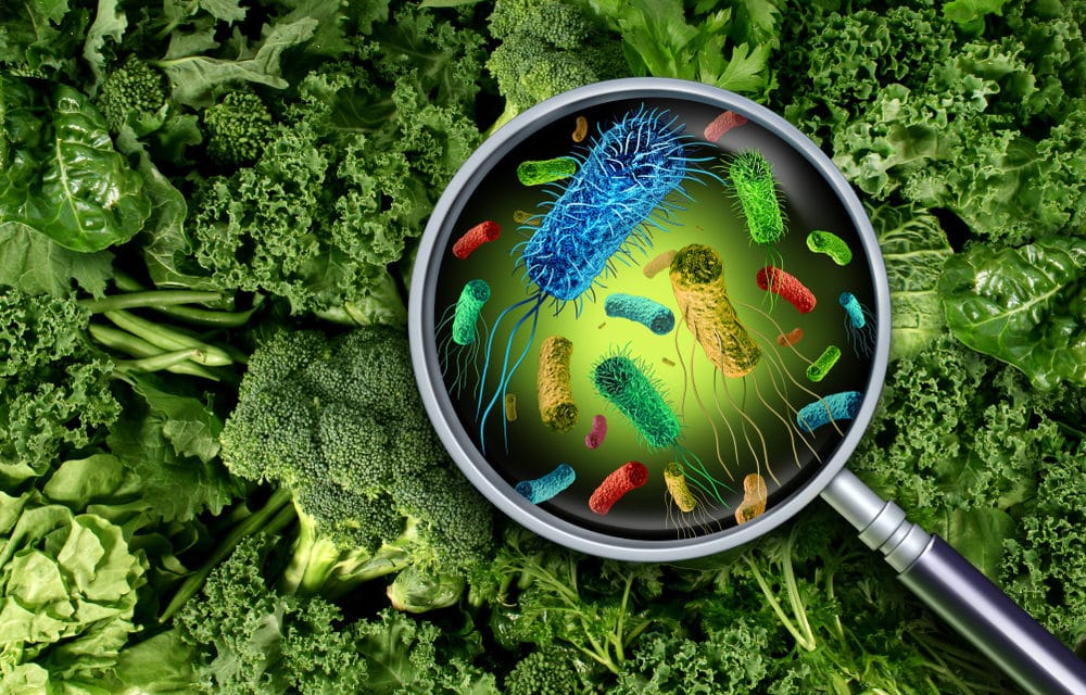 DEVELOPING: The FDA is now investigating 3 separate E. coli outbreaks
