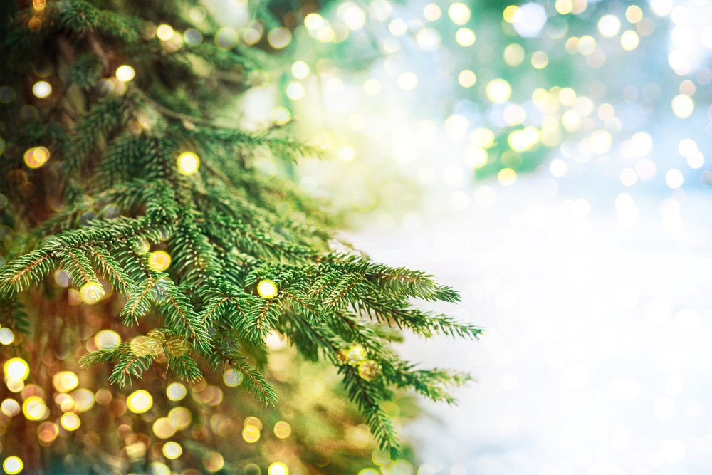 Norwegian Mayor Acts to Remove ‘Star of David’ Christmas Decoration