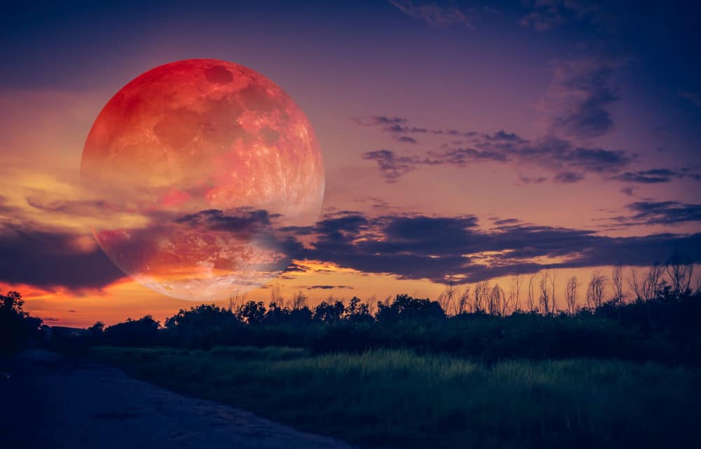2020 Brings Rare Halloween Blue Moon, 2 Super Moons and Celestial Events