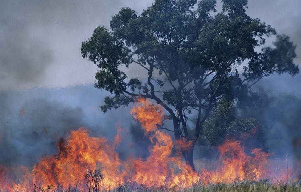 Mass evacuations continue in Australia as raging fires endanger towns, char million of acres
