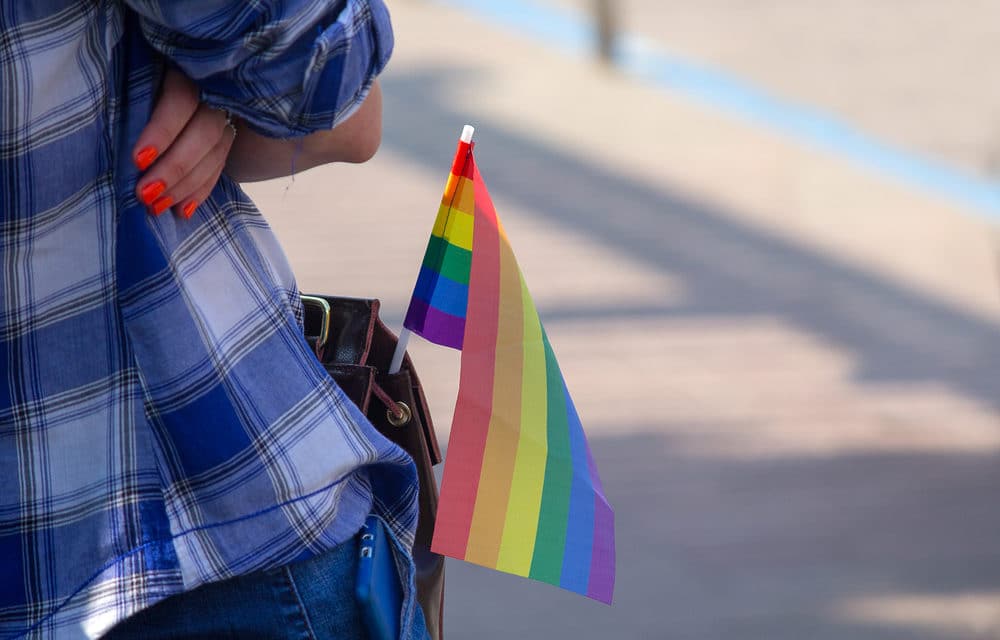 New VA LGBTQ Bill Would Mean Baptist Schools Can’t Fire Cross-Dressing Teachers