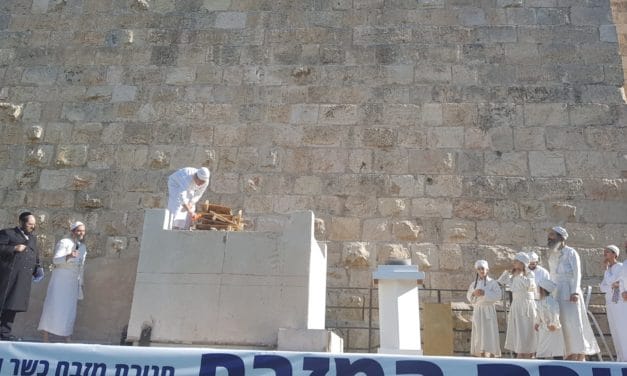 Passover Lamb could be Sacrificed on Temple Mount for first Time in 2,000 Years