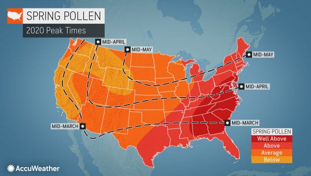 Huge portion of country to face brutal allergy season this spring