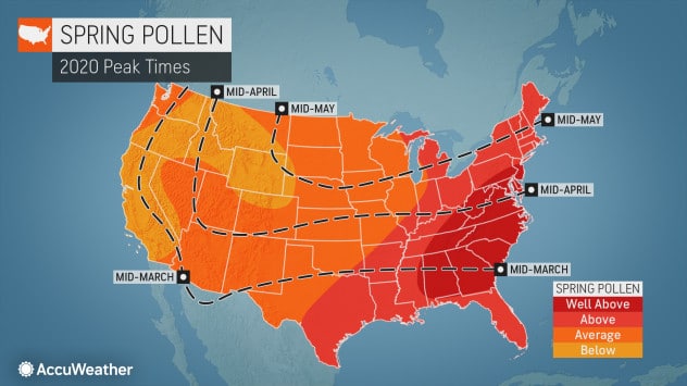 Huge portion of country to face brutal allergy season this spring