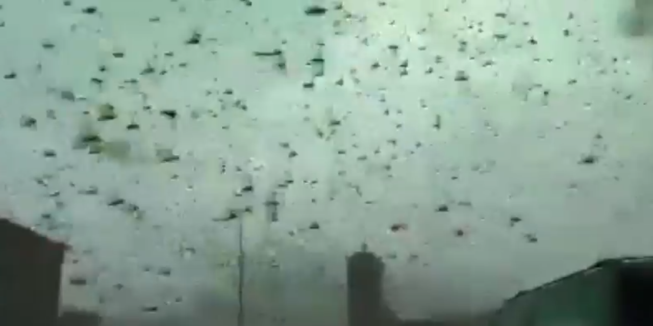 Apocalyptic locust swarm stops traffic as sky turns black in terrifying footage