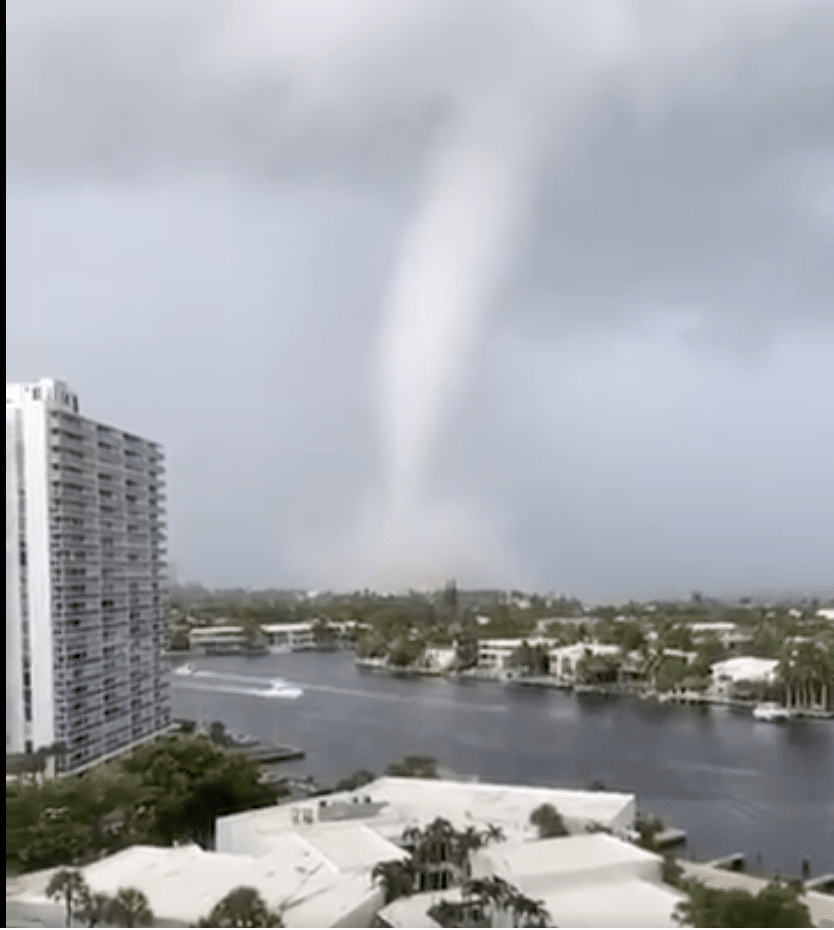 Florida struck by multiple tornados, snapping trees in half and