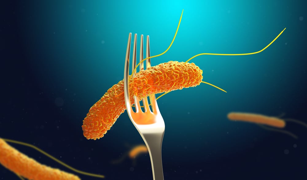DEVELOPING: Salmonella outbreak sickens hundreds across 30 states