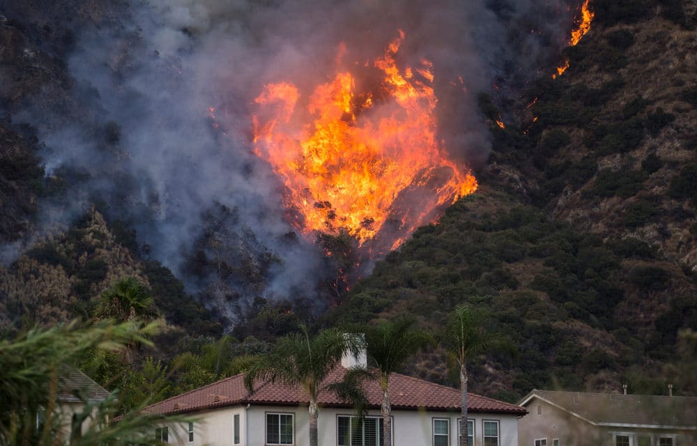 Gov. Newsom Declares Statewide Emergency Due to Wildfires