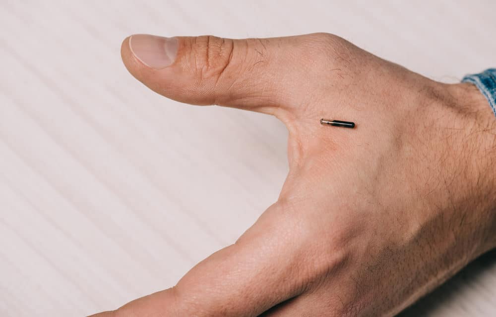 Workers fear humans implanted with microchips will steal their jobs
