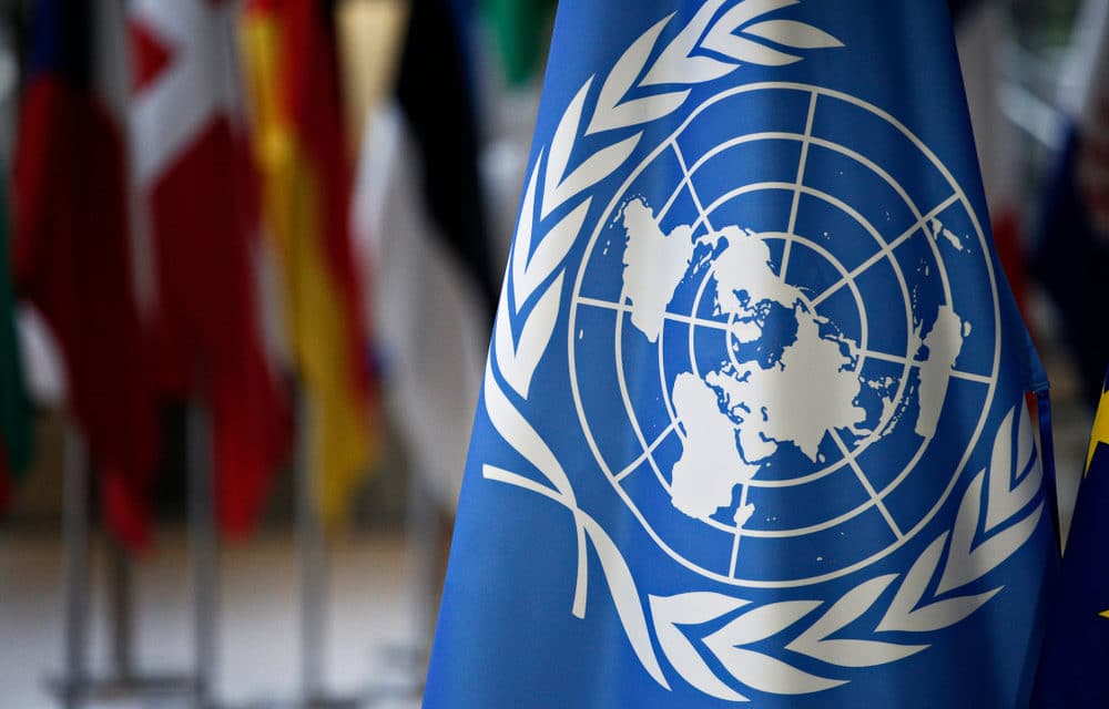 The United Nations continues to strongly promote abortion all over the globe