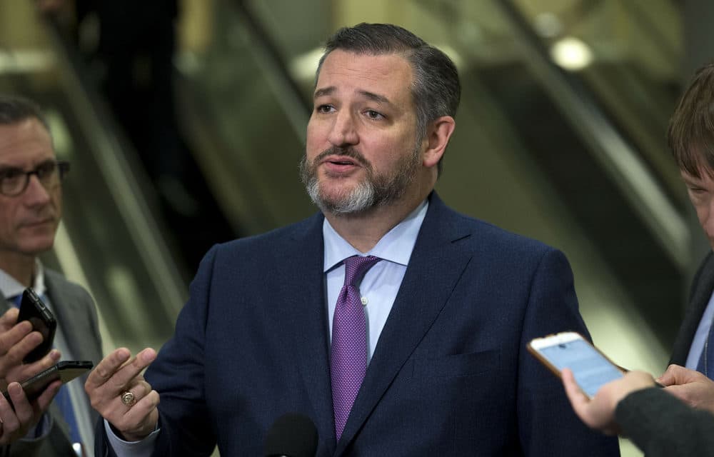 Ted Cruz Leads Senators Calling for Emergency Audit of Election