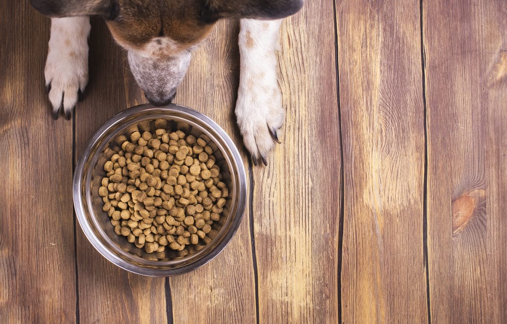 At least 28 dogs have died after consuming certain dog foods containing high levels of aflatoxin