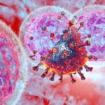 Brain-swelling Nipah virus 75 times more deadly than coronavirus may be next pandemic