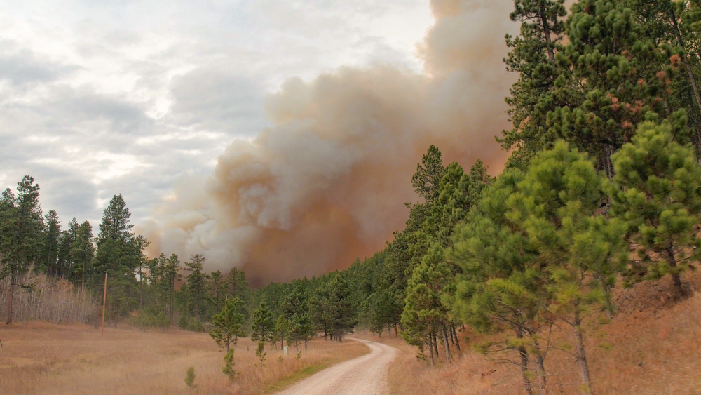 South Dakota wildfires prompt mass evacuations, shut down Mount Rushmore…