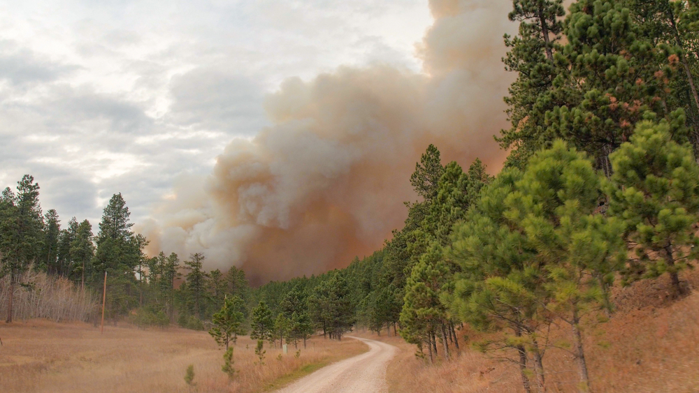 South Dakota Wildfires Prompt Mass Evacuations Shut Down Mount Rushmore 