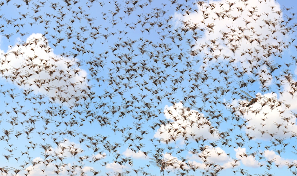 Apocalyptic locust plague turns sky black as swarms ravage Middle East…