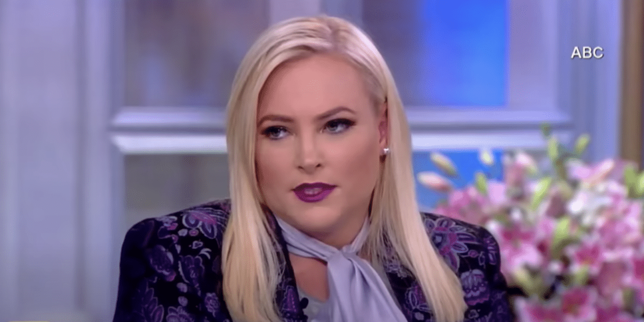 Meghan McCain tells Planned Parenthood she’ll ‘never’ stop defending the unborn after being blasted on social media