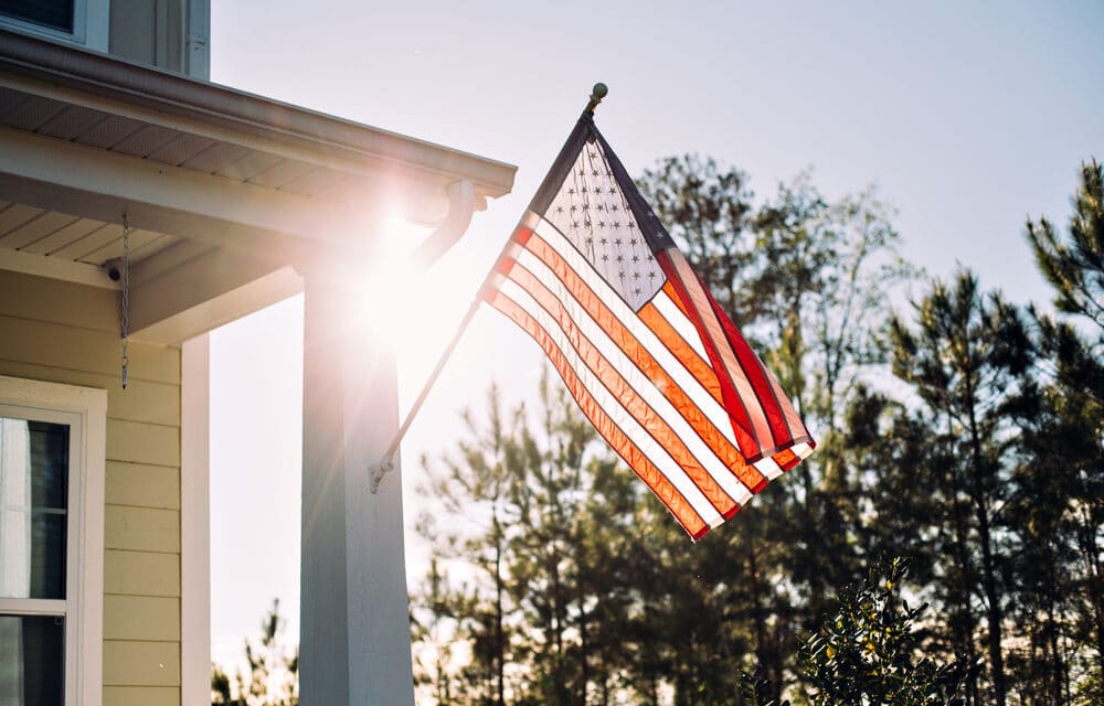 NYT editorial board member ‘disturbed’ by ‘dozens of American flags’