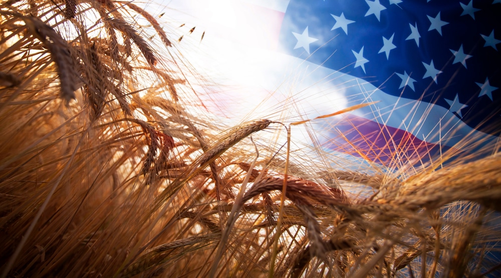 Why is China buying up American farms?