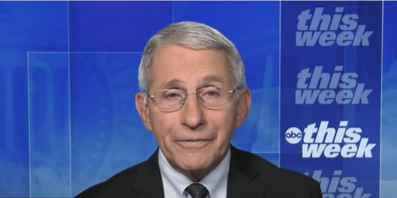 Fauci warns more ‘pain and suffering’ still lies ahead…