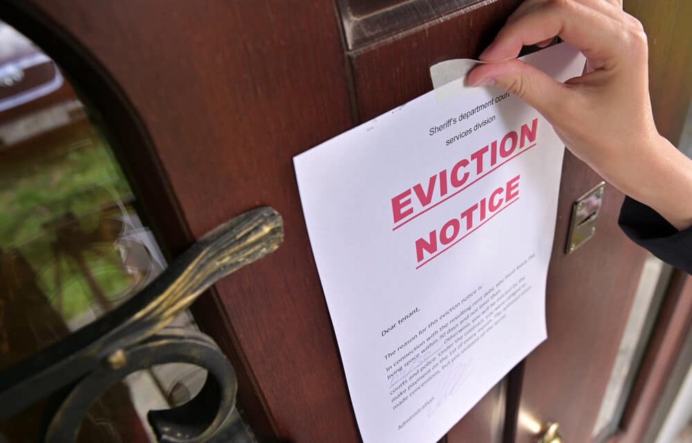August Will Be A Real Turning Point – Welcome To The Biggest Eviction Horror Show In U.S. History