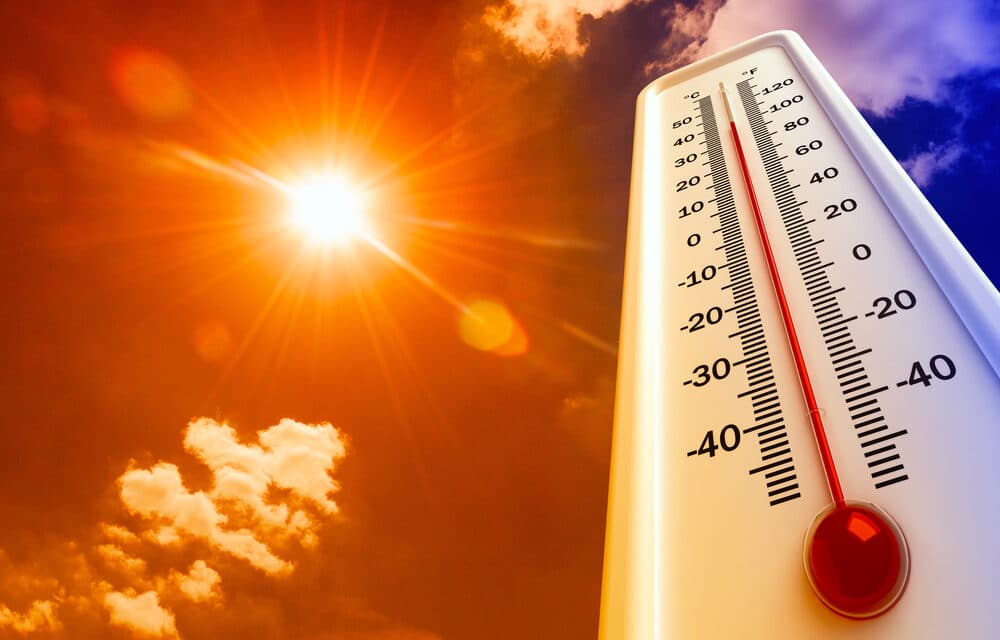 July was officially the world’s hottest month ever recorded