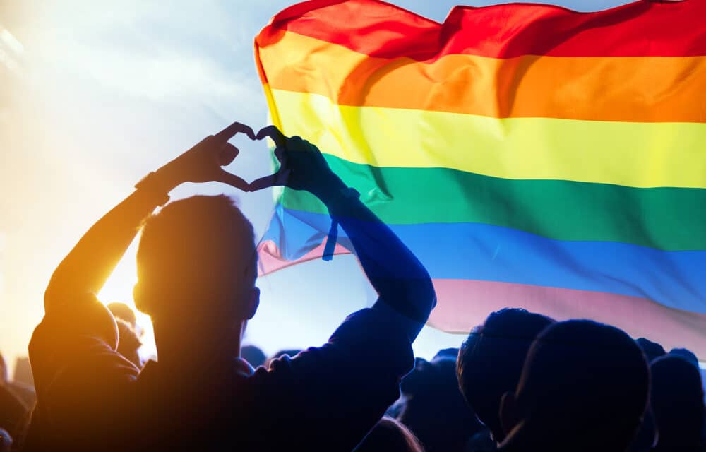 UN Report suggests criminalizing criticism of LGBT ideology