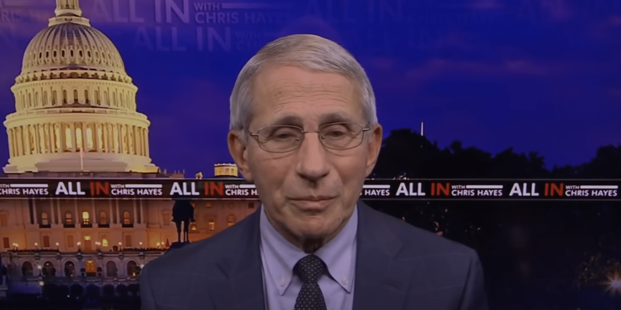 Dr. Fauci ‘astounded’ that Fox News hasn’t disciplined Lara Logan after comparing him to a Nazi doctor who performed medical experiments at the Auschwitz concentration camp.