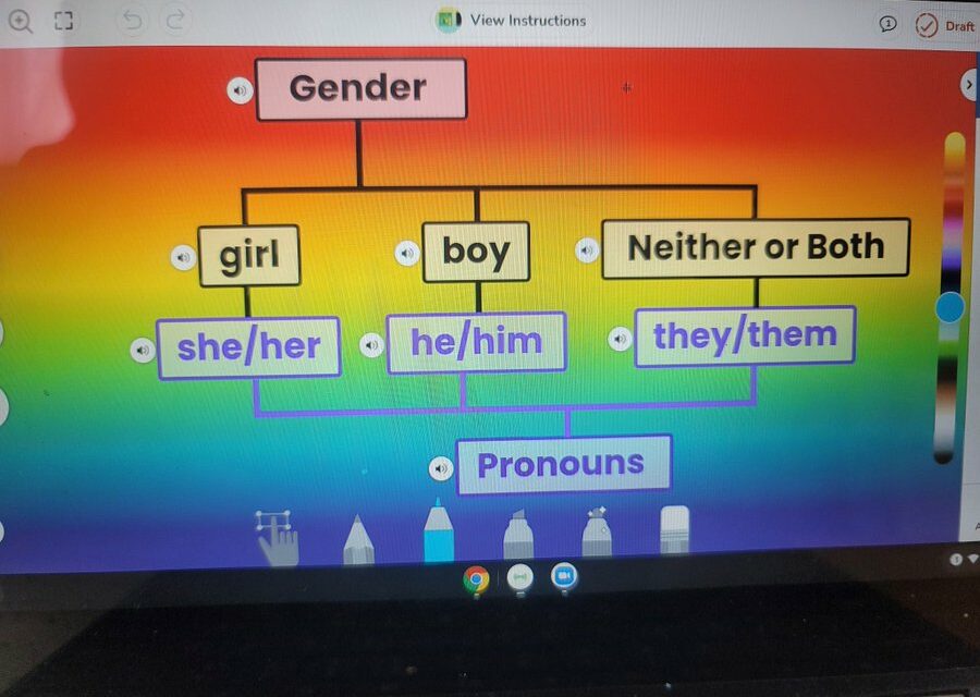 First graders given gender identity worksheet, told they can be “neither” or “both genders”