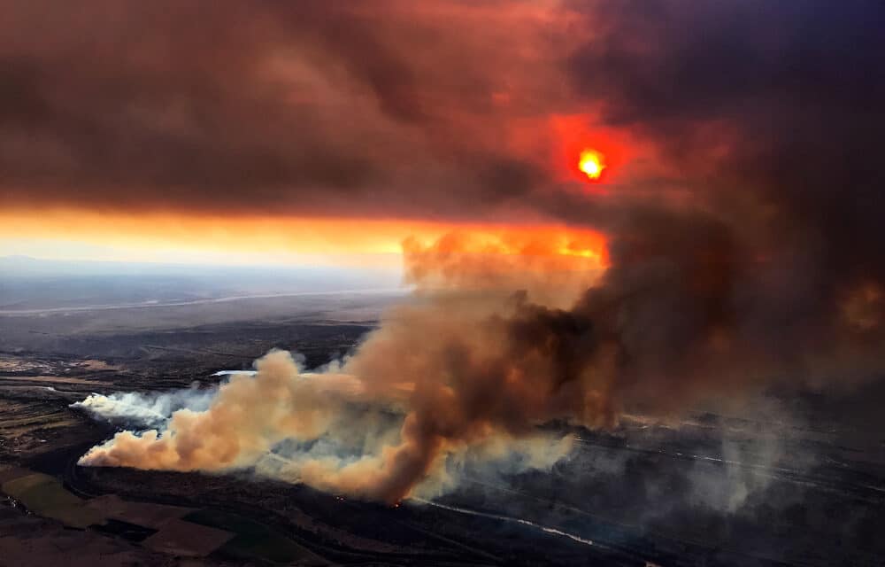 New Mexico wildfire has grown to the largest in state history