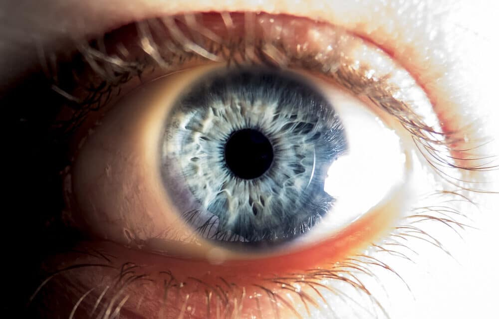 Scientists ‘reverse death’ by bringing dead eyes back to life in shocking breakthrough