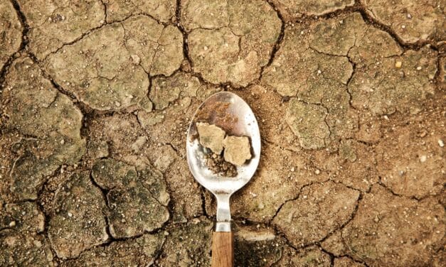 Rationing has already begun in Europe as the entire Globe plunges into a horrific economic nightmare