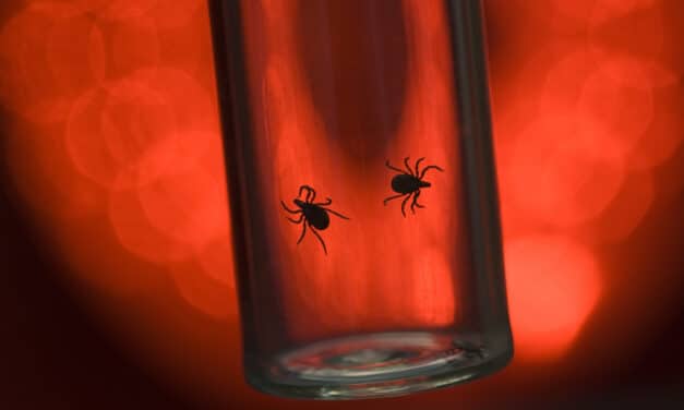At least 18 have died from spreading Tick-borne virus that causes ‘nose-bleed fever’