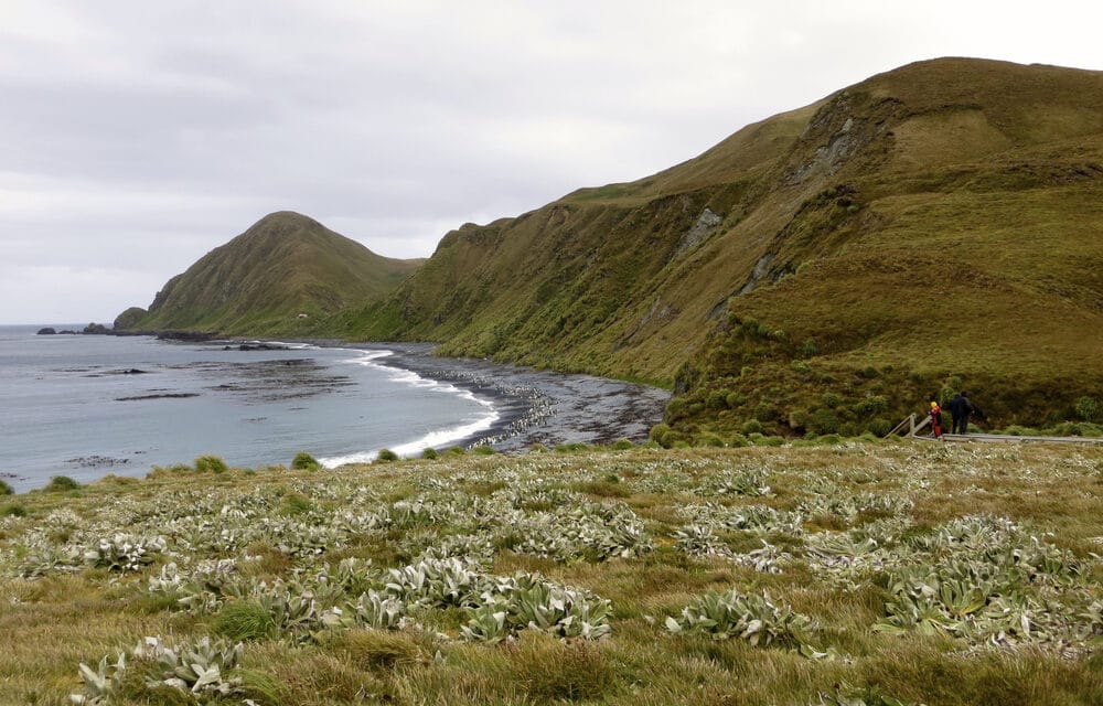 6.1 earthquake strikes remote island near Australia’s southern coast