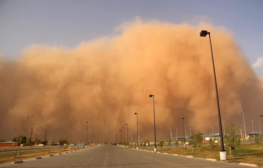 ‘Apocalyptic’ dust storm that killed 4 and hospitalized thousands in the Middle East could strike Europe this month