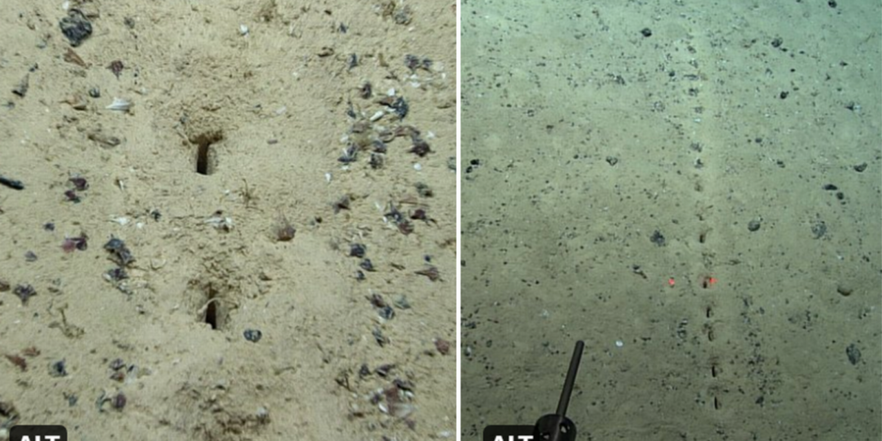 NOAA finds unexplained lines of holes in the floor of the Mid-Atlantic