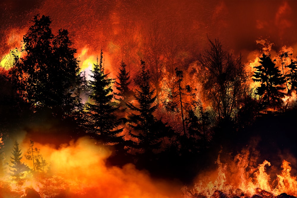 Yosemite Wildfire Doubles In Size Threatening Over 500 Giant Sequoias 1687