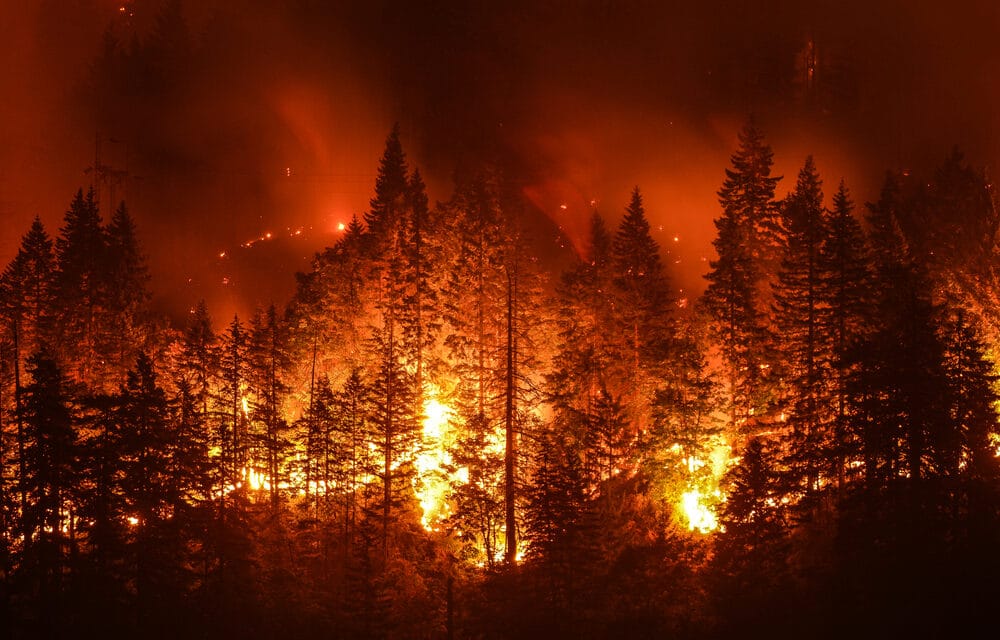 Wildfire near Yosemite National Park explodes in size.. Thousands of structures threatened